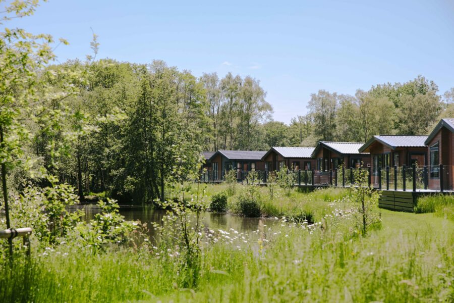 View of a row of lodges.