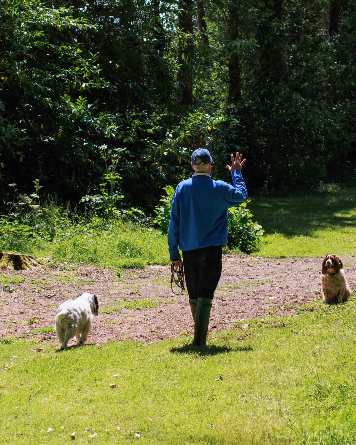 Dog trainer with dogs.