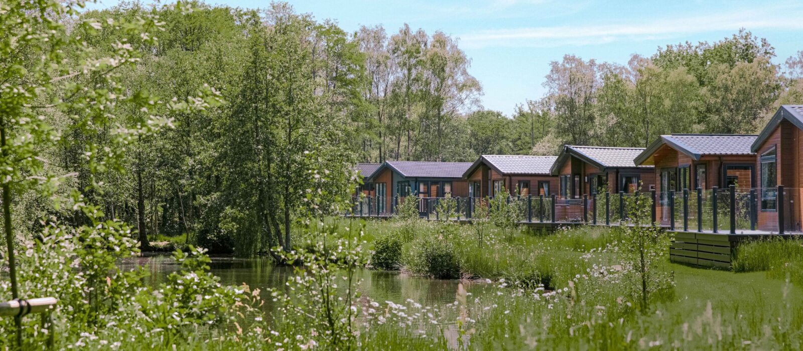 Row of caravans surrounded by greenery.