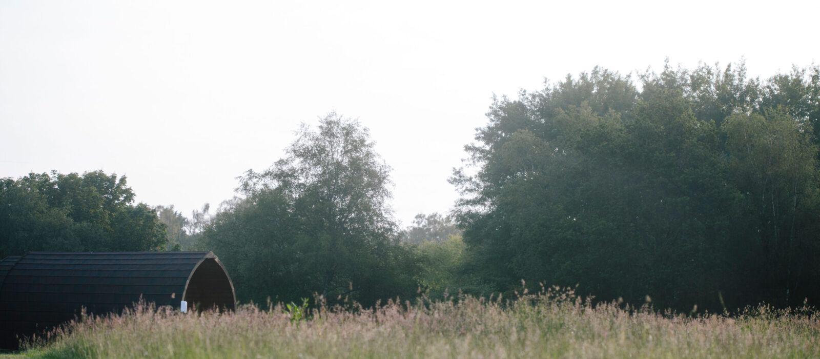 The view of a field.