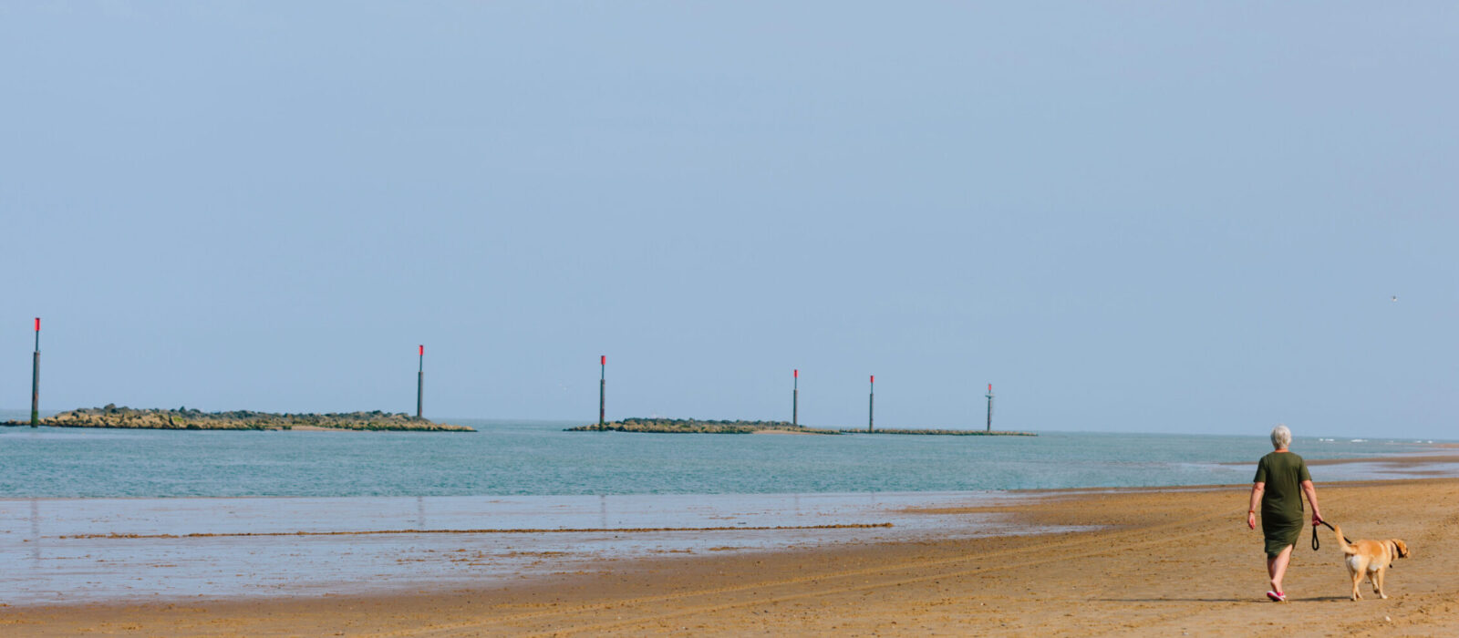 Man walking his dog down the beach.