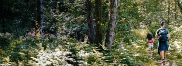 A dad and daughter walking through the forest.