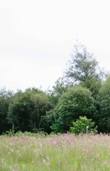 Two people riding a bike in a field.