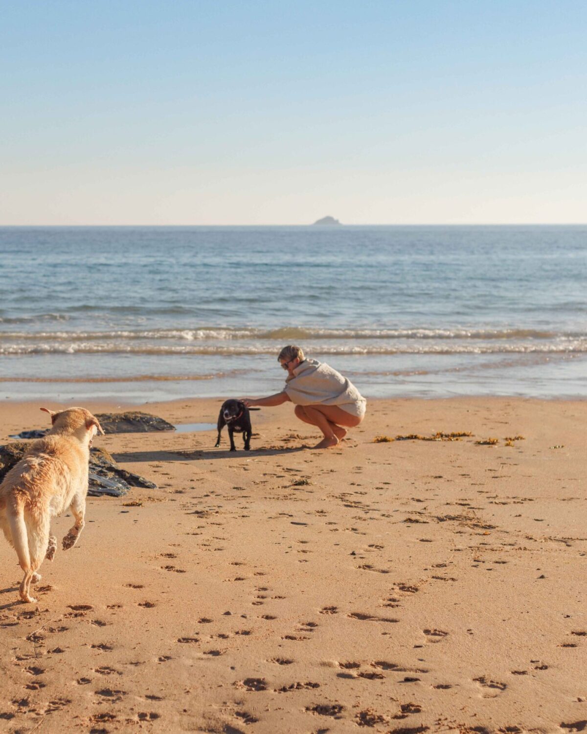 Woman petting her dog on the beach.