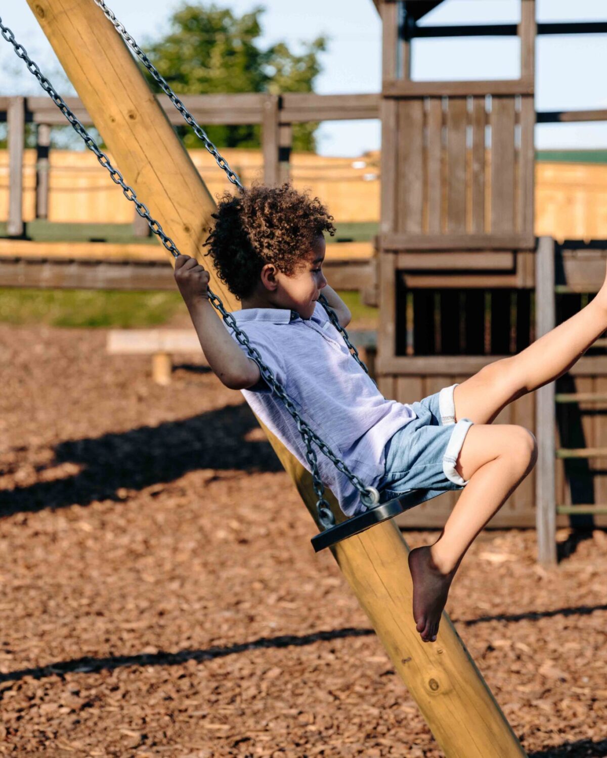 Little boy in a swing.