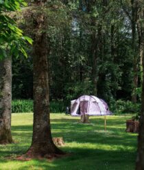 A tent between trees..