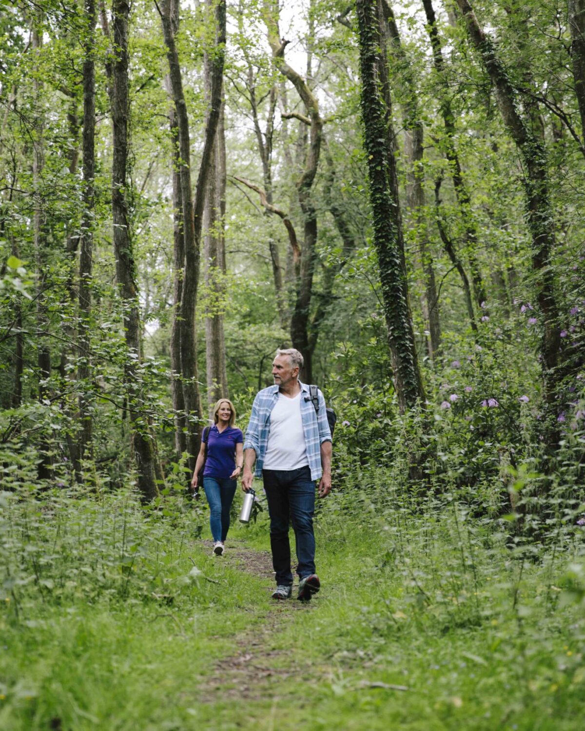 People walking in a forest.