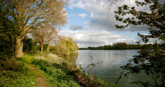 Trees by the water in Broads National Park