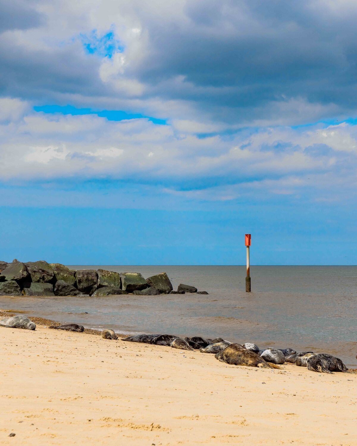 View of the beach.