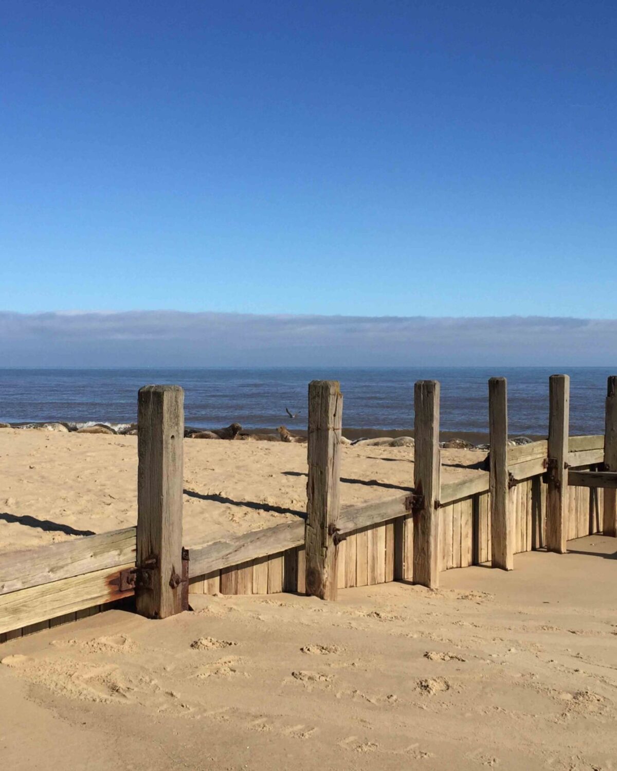 View of the beach.