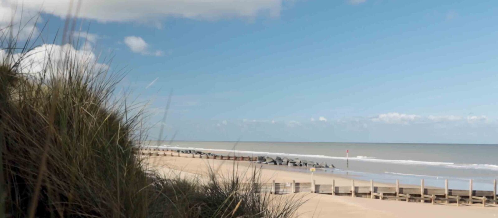 View of the beach.