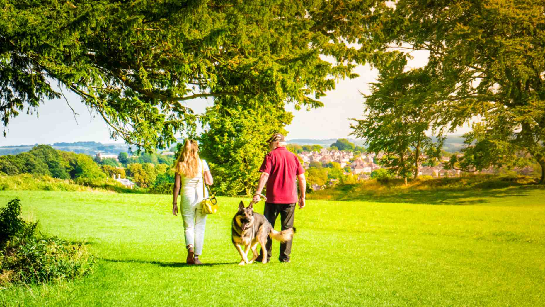 Old Sarum Salisbury Dog Walk