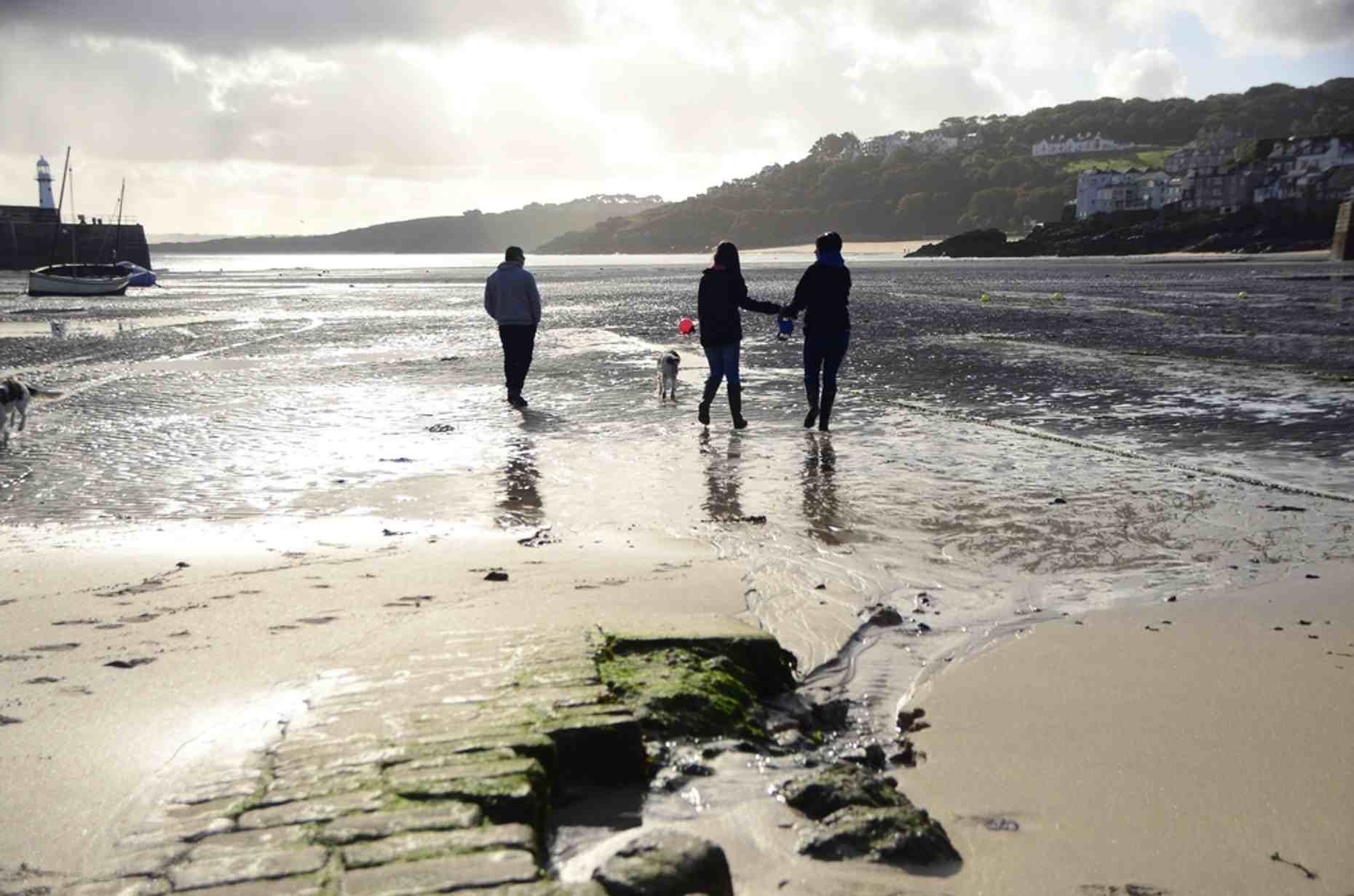 St Ives Dogs Beach 1