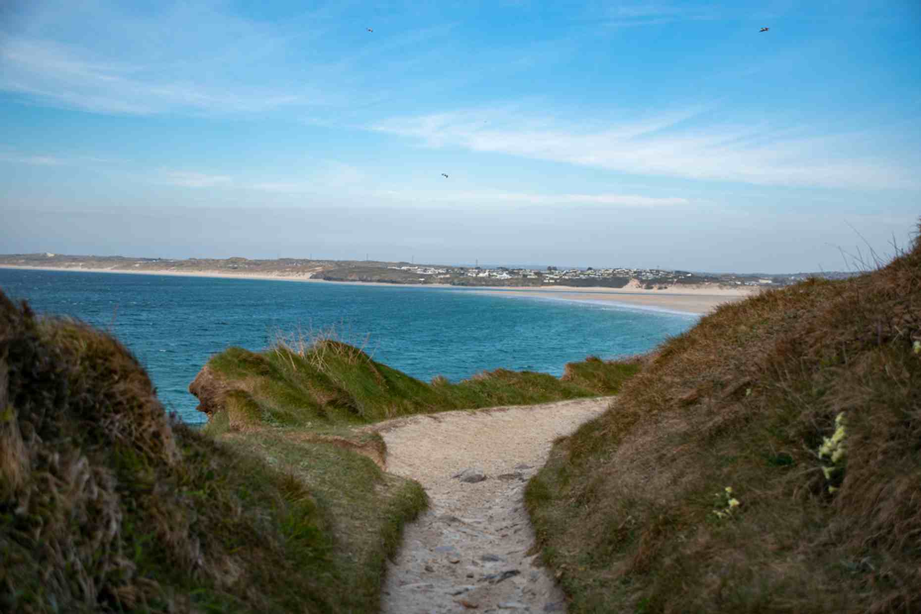 St Ives Dogs Porthkidney
